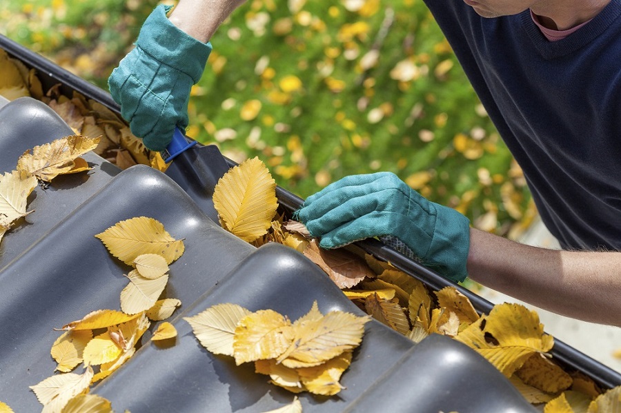 Concrete Work & Gutters Cleaning