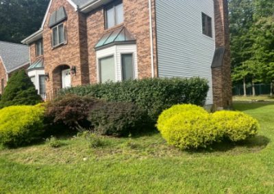 Landscapers
