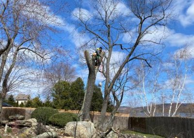 Preferred Lawn and Tree Service