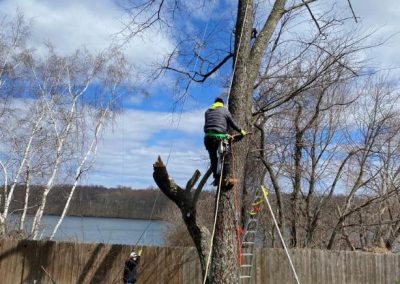 Preferred Tree Service