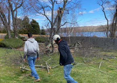 Professional Tree Service