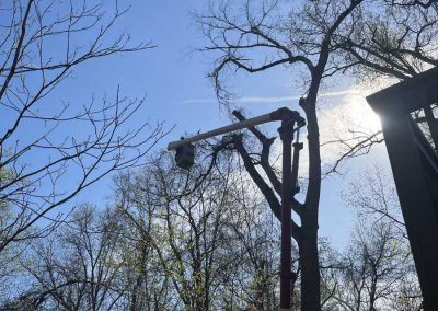 Trusted Lawn and Tree Service
