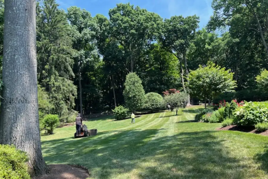 Lawn Care, Spring & Fall Cleanups