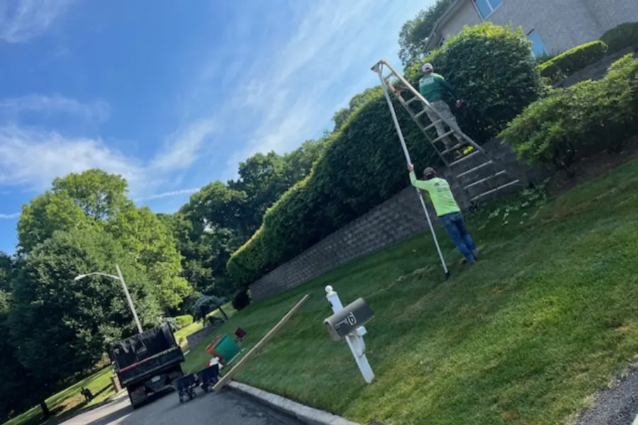 Mulching & Trimming