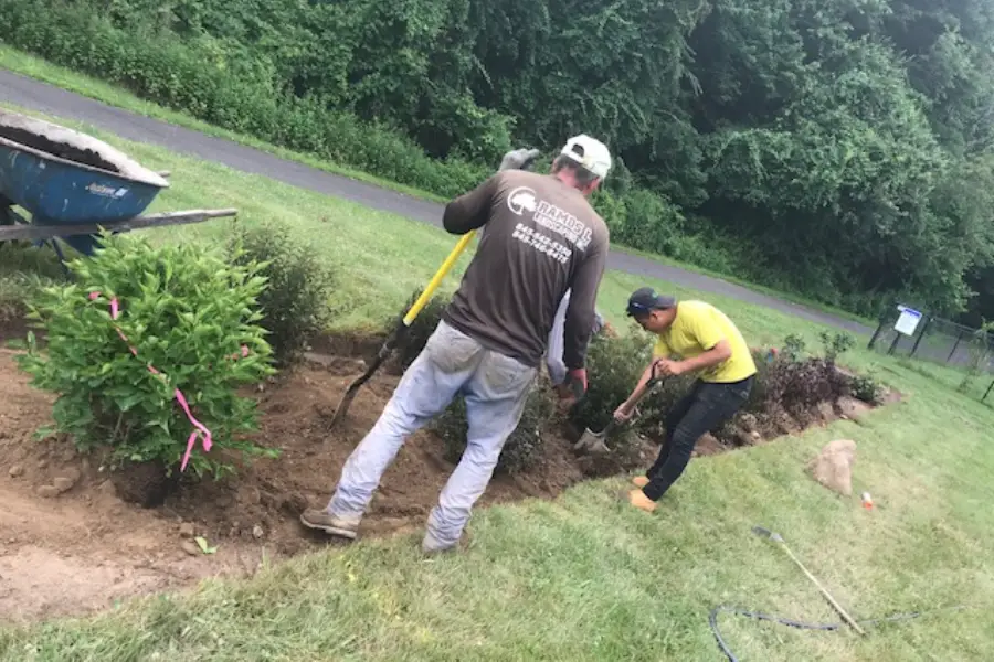 Sod Installation & Flowers Beads Planting