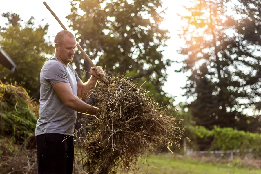 Affordable Yard Cleanup Suffern, NY Affordable Yard Cleanup Suffern, NY