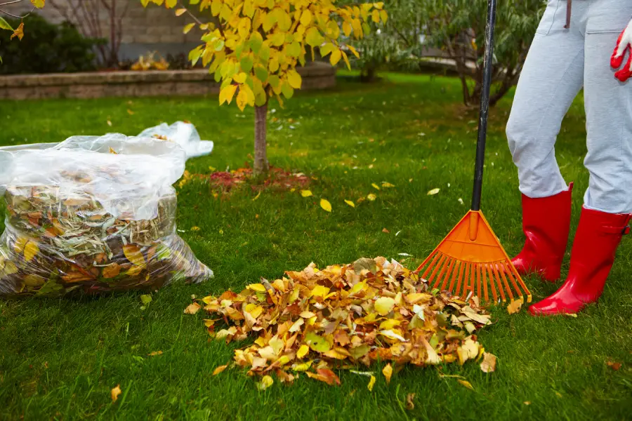 Experienced Yard Cleanup Suffern, NY Experienced Yard Cleanup Suffern, NY