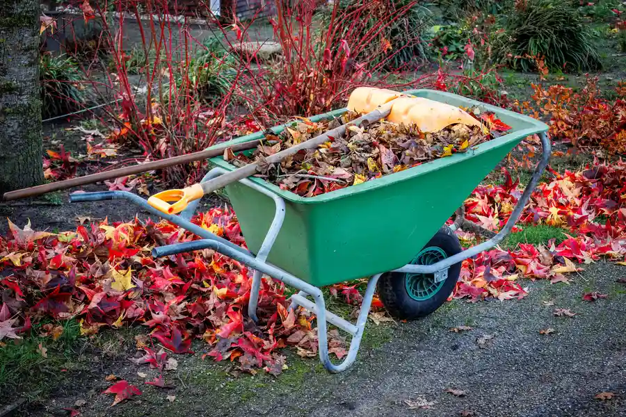 Expert Yard Cleanup Suffern, NY Expert Yard Cleanup Suffern, NY