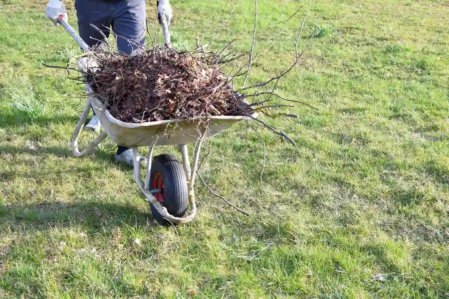 How Yard Cleanup Supports Plant Health And Growth Suffern, NY How Yard Cleanup Supports Plant Health And Growth Suffern, NY