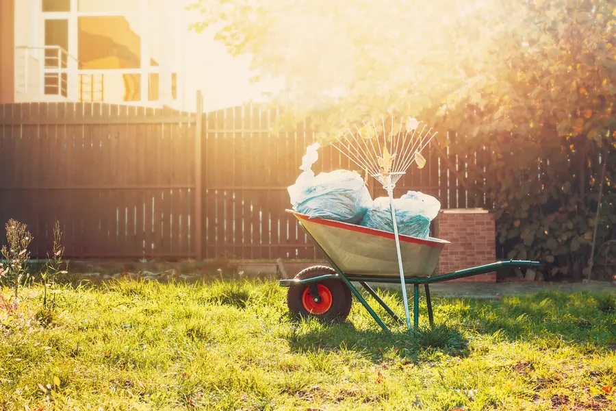 How Yard Cleanup Supports Plant Health And Growth in Suffern, NY How Yard Cleanup Supports Plant Health And Growth in Suffern, NY