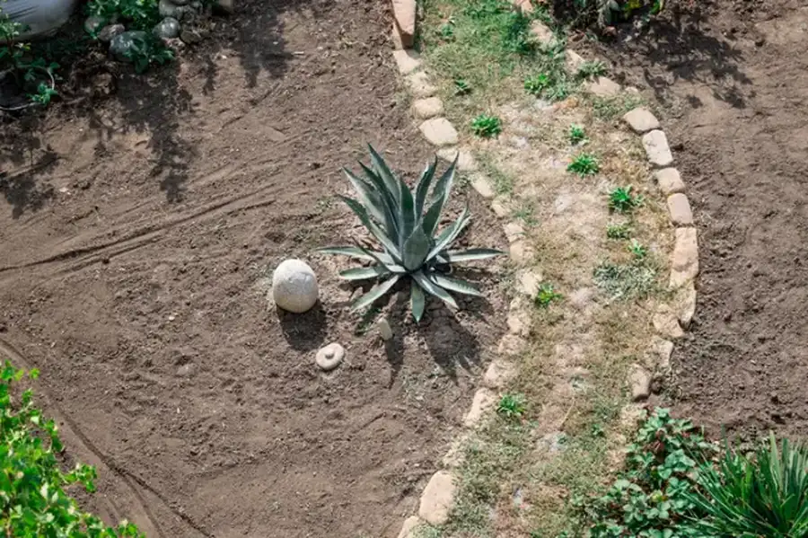 Professional Landscape Installation Suffern, NY Professional Landscape Installation Suffern, NY