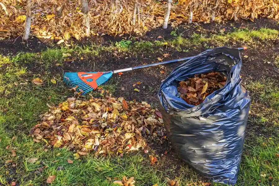 Why Yard Cleanup Enhances Property Safety in Suffern, NY Why Yard Cleanup Enhances Property Safety in Suffern, NY